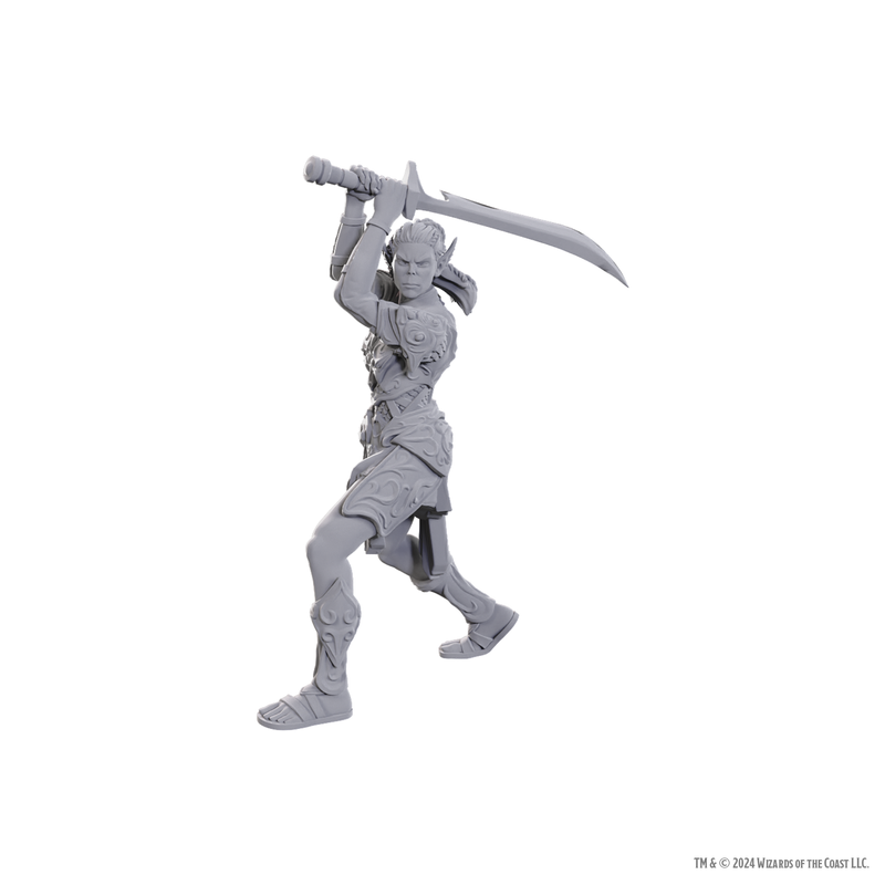 Dungeons & Dragons - Lae’zel & Shadowheart - Mini Figurine(Unpainted)