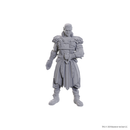 Dungeons & Dragons - Jaheira & Halsin - Mini Figurine (Unpainted)