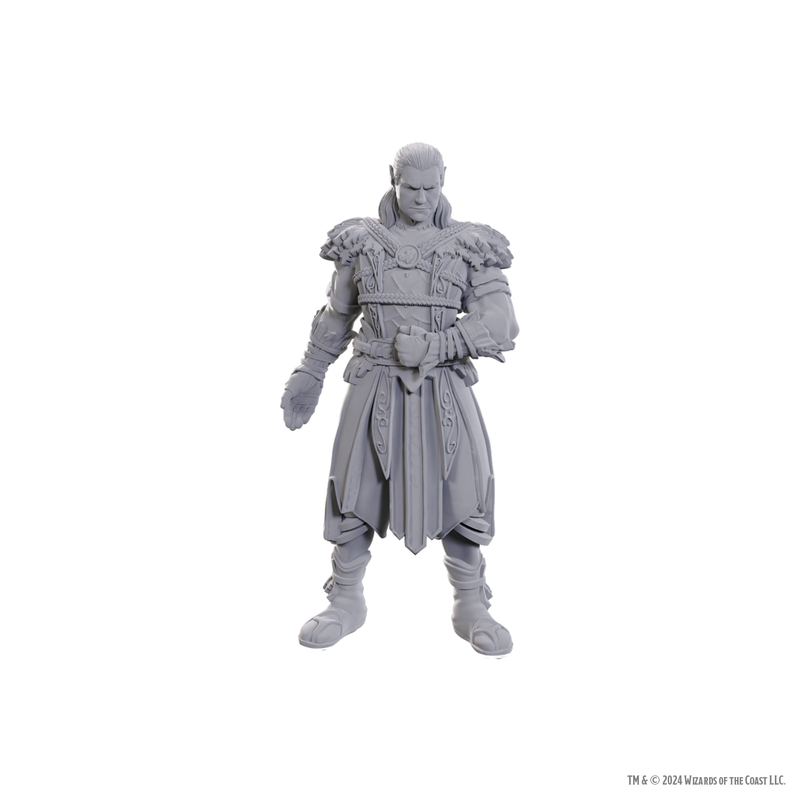 Dungeons & Dragons - Jaheira & Halsin - Mini Figurine(Unpainted)
