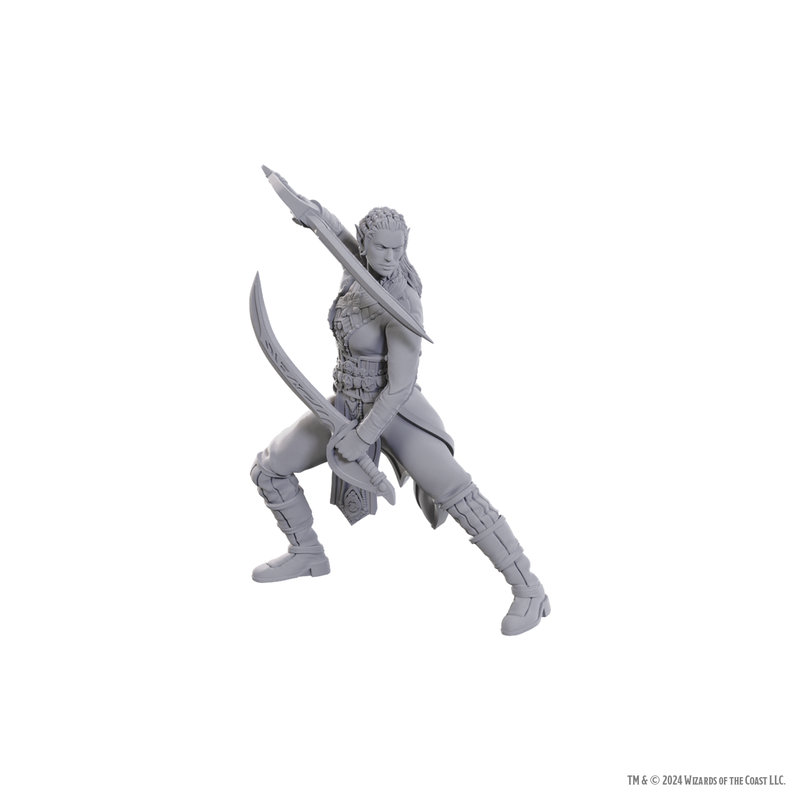 Dungeons & Dragons - Jaheira & Halsin - Mini Figurine(Unpainted)